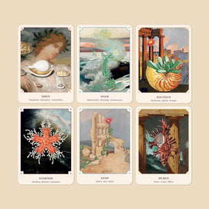 The Seashell Oracle: 44 Card Deck & Guidebook