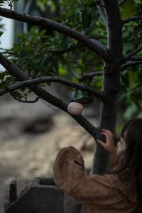 Nature Toy & Story - Apple + Little Worm Friend, Color