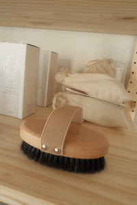 Ionic Body Brush