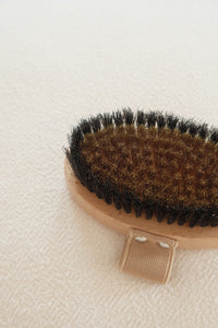 Ionic Body Brush