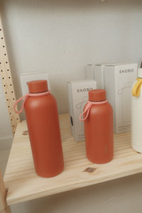 Insulated Reusable Bottle 16 oz - Brick