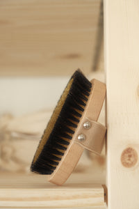 Ionic Body Brush